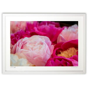 yX[p[SALEzzŉ ỎԎ萅 (bluewoods07)CeA Ǌ| z i |X^[ A[g rO ւɏ  v[g _ A[gt[