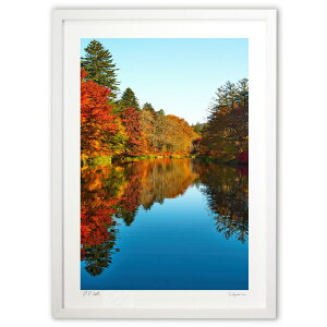 yX[p[SALEzzŉ y@gt̉_r (YKANEKO)CeA Ǌ| z i |X^[ A[g rO ւɏ  v[g _ A[gt[