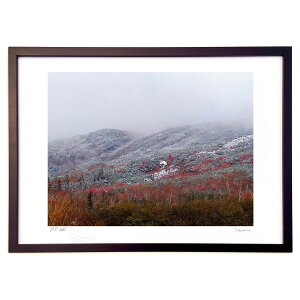 ŉ ቻ (Xm[oj)CeA Ǌ| z i |X^[ A[g rO ւɏ  v[g _ A[gt[