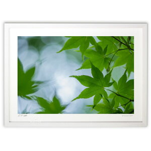 yX[p[SALEzzŉ 萁݂ (bluewoods07)CeA Ǌ| z i |X^[ A[g rO ւɏ  v[g _ A[gt[