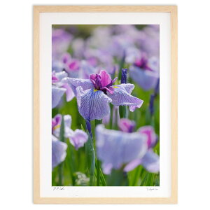 ŉ Jオ̃niVEu (h)CeA Ǌ| z i |X^[ A[g rO ւɏ  v[g _ A[gt[