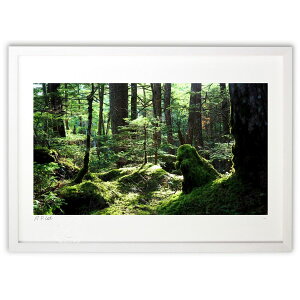 ŉ X̃Xe[W (hi69ing)CeA Ǌ| z i |X^[ A[g rO ւɏ  v[g _ A[gt[