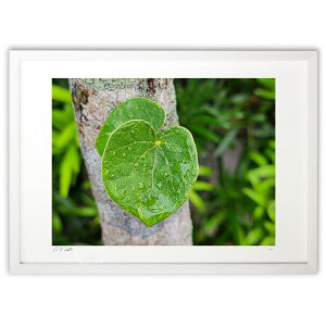 yƂ̍iztς́An[g^BJオɁA̖؂ɐĂtςƁAn[g^&