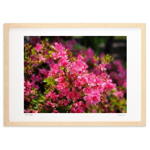 �ŉ� �^���ԂȂ��� (��񂿂��)�C���e���A �Ǌ|�� �z���� ���i�� �|�X�^�[ �A�[�g ���r���O ���ւɏ��� ���� �v���[���g ���_�� �A�[�g�t���[��