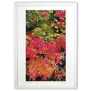 ŉ яH (mitan)CeA Ǌ| z i |X^[ A[g rO ւɏ  v[g _ A[gt[