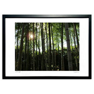 yX[p[SALEzzŉ ؘR (q)CeA Ǌ| z i |X^[ A[g rO ւɏ  v[g _ A[gt[