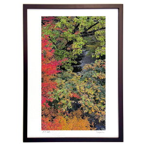 ŉ яH̏2 (mitan)CeA Ǌ| z i |X^[ A[g rO ւɏ  v[g _ A[gt[