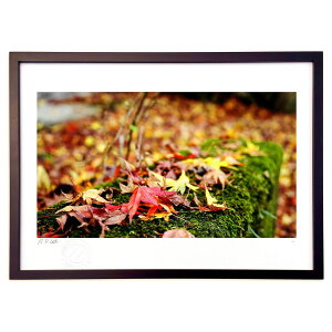 ŉ lGV[YyHz (hi69ing)CeA Ǌ| z i |X^[ A[g rO ւɏ  v[g _ A[gt[