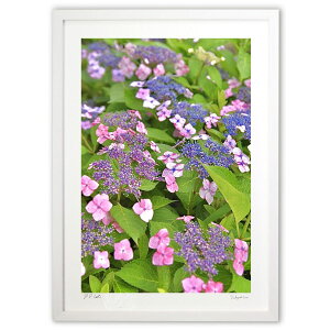 yX[p[SALEzzŉ KNAWTC (mitan)CeA Ǌ| z i |X^[ A[g rO ւɏ  v[g _ A[gt[