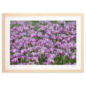 yX[p[SALEzzŉ Ԃ傤ԉ (h)CeA Ǌ| z i |X^[ A[g rO ւɏ  v[g _ A[gt[