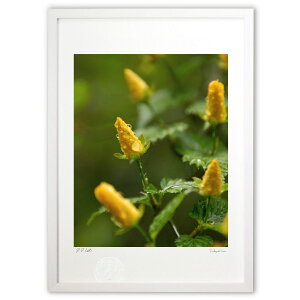 ŉ J̐X̒ (Agura)CeA Ǌ| z i |X^[ A[g rO ւɏ  v[g _ A[gt[