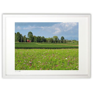 ŉ RXXƂ (okiron)CeA Ǌ| z i |X^[ A[g rO ւɏ  v[g _ A[gt[