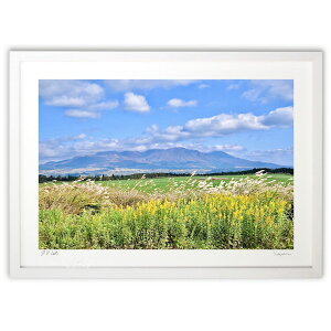 ŉ ĤイAR (mitan)CeA Ǌ| z i |X^[ A[g rO ւɏ  v[g _ A[gt[