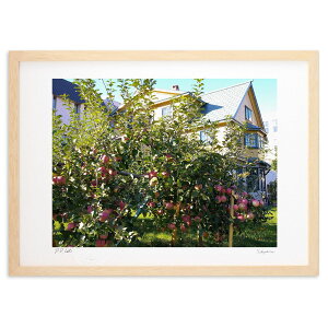 ŉ H̎ (Xm[oj)CeA Ǌ| z i |X^[ A[g rO ւɏ  v[g _ A[gt[