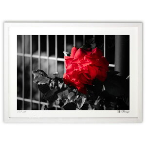 �ŉ� Rouge et Noir (A-Mirage)