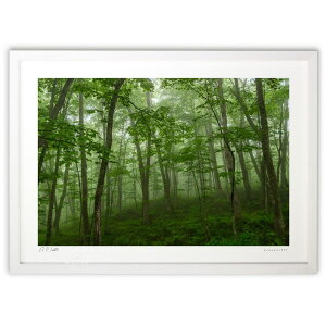 ŉ ΐ[ӂ̐X (bluewoods07)CeA Ǌ| z i |X^[ A[g rO ւɏ  v[g _ A[gt[