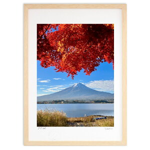 ŉ gtiƕxmR (^CA)CeA Ǌ| z i |X^[ A[g rO ւɏ  v[g _ A[gt[