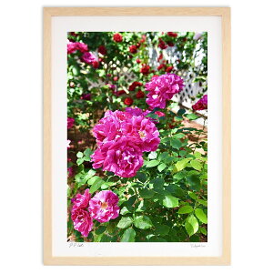 yX[p[SALEzzŉ ԂKN (mitan)CeA Ǌ| z i |X^[ A[g rO ւɏ  v[g _ A[gt[