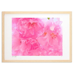 yX[p[SALEzzŉ d (okiron)CeA Ǌ| z i |X^[ A[g rO ւɏ  v[g _ A[gt[