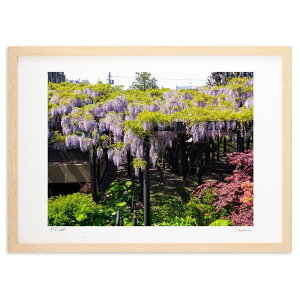 yƂ̍izJY핽ݓV_RΒnɂē̉ԂYł`BF̌iFCɓ&