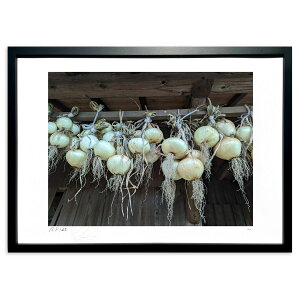 ŉ ʂ˂B (okiron)CeA Ǌ| z i |X^[ A[g rO ւɏ  v[g _ A[gt[