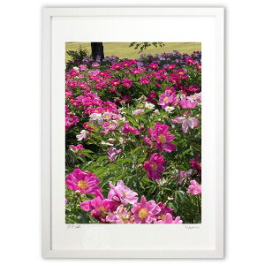 yX[p[SALEzzŉ 䉖 (\t@)CeA Ǌ| z i |X^[ A[g rO ւɏ  v[g _ A[gt[