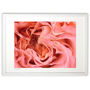 yX[p[SALEzzŉ KN (okiron)CeA Ǌ| z i |X^[ A[g rO ւɏ  v[g _ A[gt[