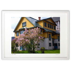 yX[p[SALEzzŉ ŉ@CbN̉ (Xm[oj)CeA Ǌ| z i |X^[ A[g rO ւɏ  v[g _ A[gt[