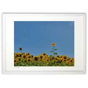 ŉ ƂЂ܂蔨 (okiron)CeA Ǌ| z i |X^[ A[g rO ւɏ  v[g _ A[gt[