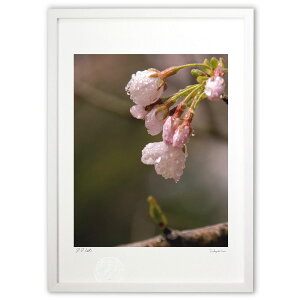 ŉ ɉJ (Agura)CeA Ǌ| z i |X^[ A[g rO ւɏ  v[g _ A[gt[