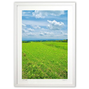 ŉ  (mitan)CeA Ǌ| z i |X^[ A[g rO ւɏ  v[g _ A[gt[