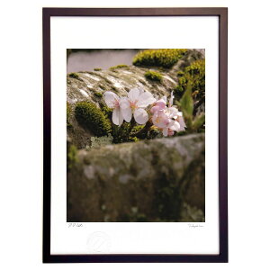 ŉ ̕ (Agura)CeA Ǌ| z i |X^[ A[g rO ւɏ  v[g _ A[gt[