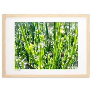 ŉ zɌ (FiMisoraj)CeA Ǌ| z i |X^[ A[g rO ւɏ  v[g _ A[gt[