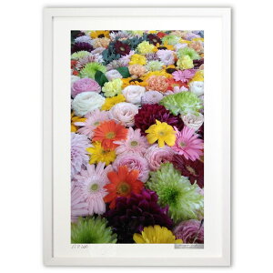 ŉ FO (Rۂ݂)CeA Ǌ| z i |X^[ A[g rO ւɏ  v[g _ A[gt[