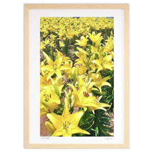 ŉ F[ (mitan)CeA Ǌ| z i |X^[ A[g rO ւɏ  v[g _ A[gt[