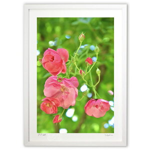 yX[p[SALEzzŉ KNEAWF (mitan)CeA Ǌ| z i |X^[ A[g rO ւɏ  v[g _ A[gt[