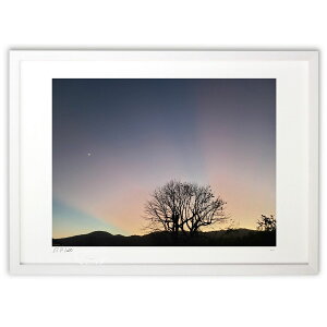 yX[p[SALEzzŉ [Ɩؗ (okiron)CeA Ǌ| z i |X^[ A[g rO ւɏ  v[g _ A[gt[