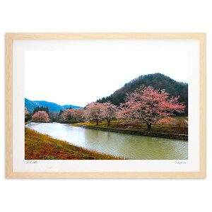 ŉ ʐ^@Ȑt@() (C5348)CeA Ǌ| z i |X^[ A[g rO ւɏ  v[g _ A[gt[