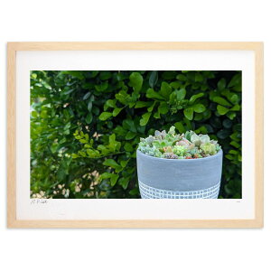 ŉ Â镗i (okiron)CeA Ǌ| z i |X^[ A[g rO ւɏ  v[g _ A[gt[