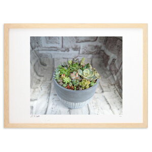 ŉ Â镗i (okiron)CeA Ǌ| z i |X^[ A[g rO ւɏ  v[g _ A[gt[