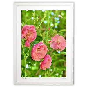 ŉ KNEAWF (mitan)CeA Ǌ| z i |X^[ A[g rO ւɏ  v[g _ A[gt[