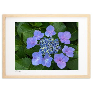 ŉ F̃KNAWTC (okiron)CeA Ǌ| z i |X^[ A[g rO ւɏ  v[g _ A[gt[