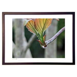 ŉ  (okiron)CeA Ǌ| z i |X^[ A[g rO ւɏ  v[g _ A[gt[