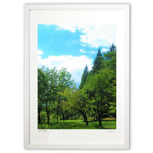 ŉ ʐ^@Jオ̐Xс@icj (C5348)