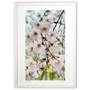 ŉ } (_)CeA Ǌ| z i |X^[ A[g rO ւɏ  v[g _ A[gt[