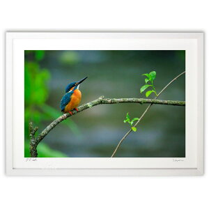 ŉ JZ~ ()CeA Ǌ| z i |X^[ A[g rO ւɏ  v[g _ A[gt[