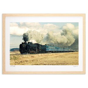 ŉ ʐ^ D51qԗԁu֒ØHv (C5348)