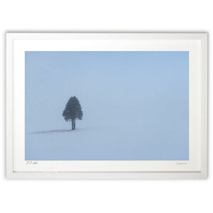 yX[p[SALEzzŉ |cƗ (takumi4444)CeA Ǌ| z i |X^[ A[g rO ւɏ  v[g _ A[gt[