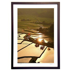 ŉ [z̐ (mitan)CeA Ǌ| z i |X^[ A[g rO ւɏ  v[g _ A[gt[