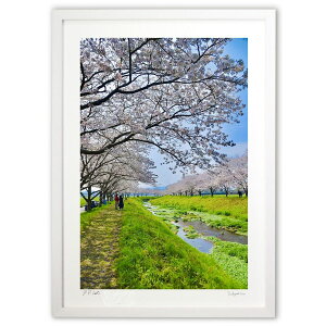 yX[p[SALEzzŉ X (mitan)CeA Ǌ| z i |X^[ A[g rO ւɏ  v[g _ A[gt[